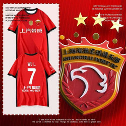2025 Shanghai Port Team Uniform, Shanghai Football Club Fan Clothing, Quick-Drying Short-Sleeved T-Shirt, Men's and Women's Half-Sleeved Jersey