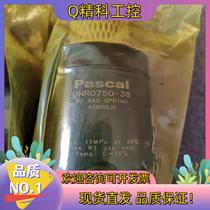 Spot Pascal original DNR0750-38