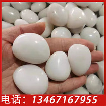 Natural white pebbles hydroponic tulip rain flower stone fish tank landscaping courtyard garden balcony decoration small stones