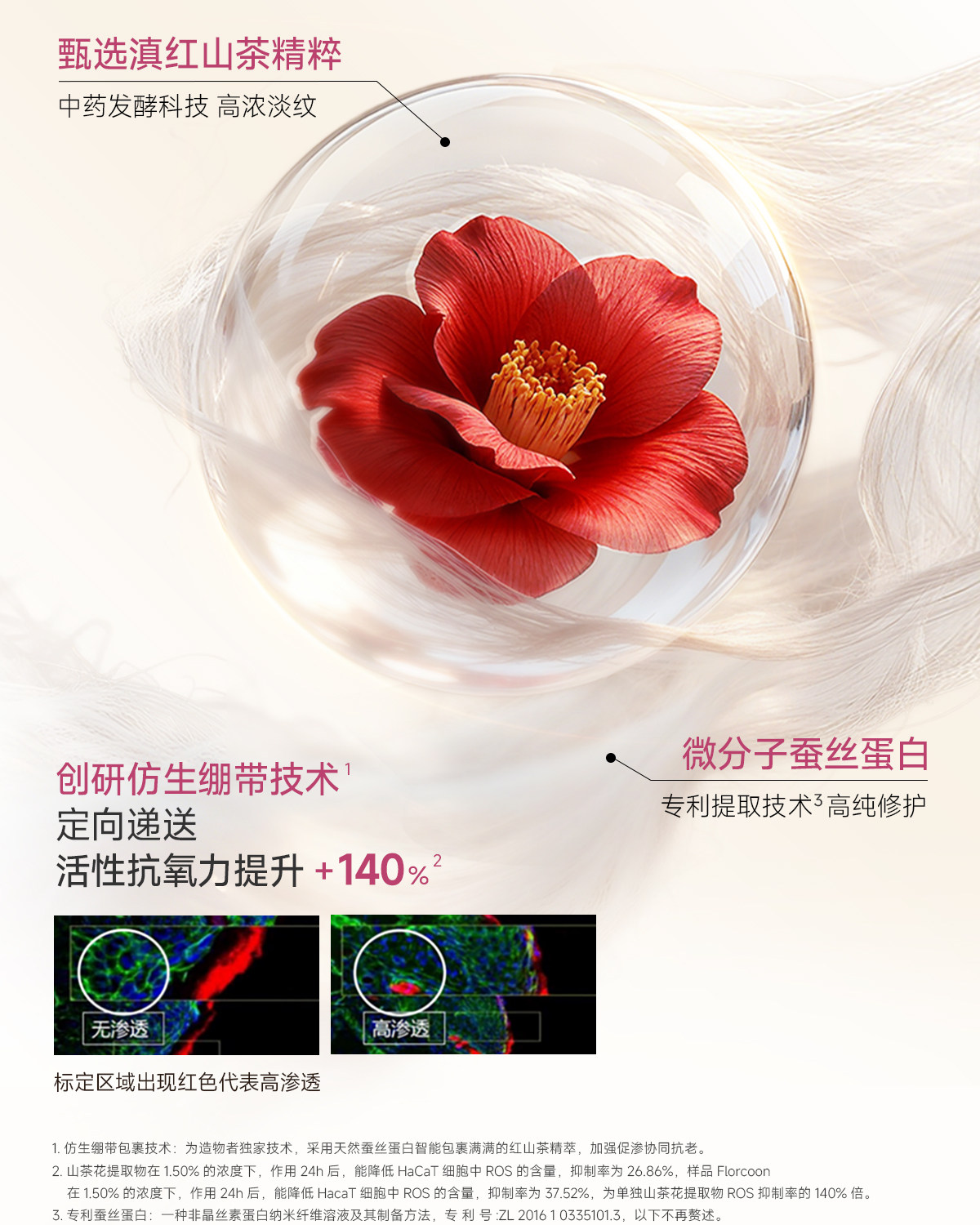 【Expédition directe de Hong Kong】 Masque à l'essence de camélia "Zao Wu Zhe" 6 paires/boîte - Nettoie et resserre les pores, raffermit et illumine - Remède d'urgence pour les nuits blanches - Hydratation profonde - Masque à appliquer - Poudre + Essence
