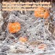 Halloween Decoration Spider Cotton Spider Web Haunted House Secret Room Spider Silk Horror Scene Atmosphere Decoration Props