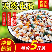 Ecological cylinder stone fish tank bottom sand stream cylinder water grass cylinder small pebble stone one stone into view five colorful stone streams gravel grain