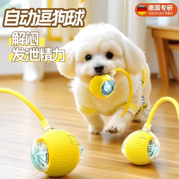 Dog toys automatic dog walking ball pet puppy self-exciting and biting electric smart dog jump ball tool