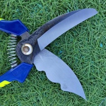 High-hardness garlic rhizome farm tools scissors garlic scissors vegetable and fruit scissors artifact cutting garlic high-hardness garden picking vegetables