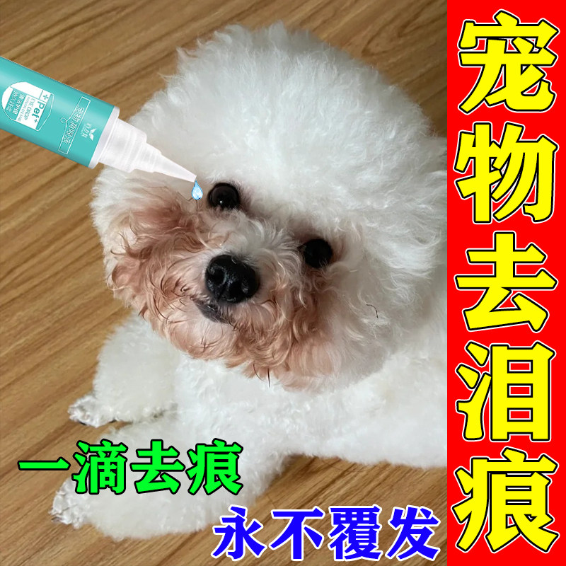 泪痕猫咪眼屎狗狗泪痕神器,宠物眼部清洁有多重要?🐾 -眼部清洁-淘宝好物网
