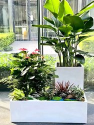 Customized outdoor stainless steel flower box sales department flower trough combination commercial street green flower fence coffee shop flower ກ່ອງປະສົມປະສານ