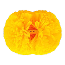 Flower Ball Cheerleaders Hold Flower Balls Cheerleaders Hold Flower Balls Cheerleading Flower Balls Dance Performance Flower Balls Colorful Balls