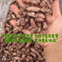Complete collection of dried seafood products for fishermen newly dried sea rabbits deep sea wild sea rabbits dried small cuttlefish small cuttlefish larvae aquatic products