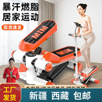 Xinjiang Tibet stepper home weight loss machine multi-functional silent slimming waist slimming leg climbing machine in situ