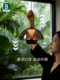 Bading Italian Minimalist Bud-Shaped Bedside Pendant Light, Master Bedroom Pendant Light, Smart Hand-Sweep Light, Light Luxury High-End Small Pendant Light