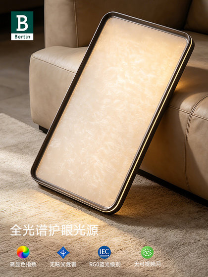 Bading Italian Minimalist Living Room Ceiling Lamp 2026 New Eye-Protecting Lighting Modern Simple and Elegant Living Room Main Ceiling Lamp