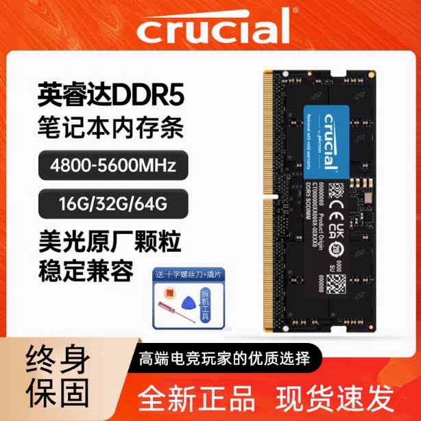 Панель памяти для ноутбука Yingruida Micron DDR5 5600 16G 32G 48G для компьютерных игр