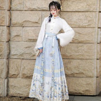 Cotton Comfort Documentary Original Butterfly Lovers of the Handmaids Spring Improved Horse Noodle Skirt Suit China Wind Fairy Ancient Fashion Butterfly Romance