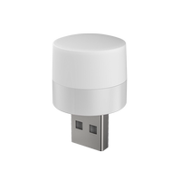 USB veilleuse chambre sommeil lumière LED lampe à économie dénergie protection des yeux maison chevet charge alimentation lumière blanche lumière chaude 3005
