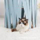 ຜູ້ຜະລິດເຮັດຮັງແມວລະດູຮ້ອນ cat climbing frame pet supplies removable and washable closed tent breathable pet nest