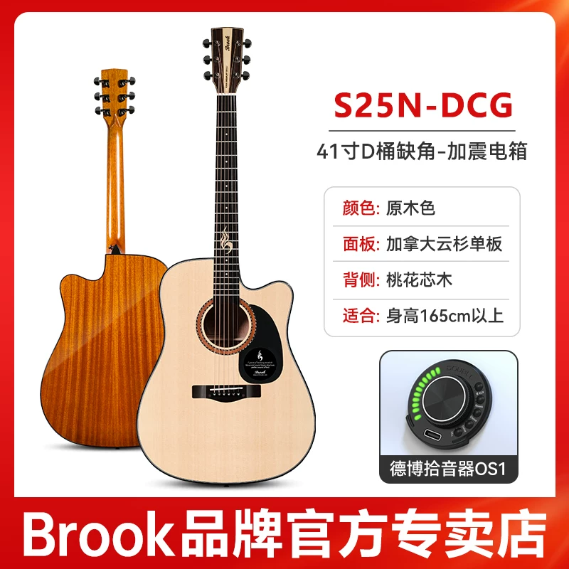 Гитара-однокорпус Brook Brook s25 — официальный флагманский продукт