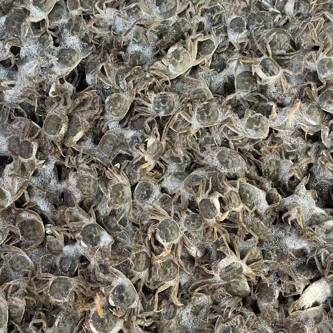 澜庭水产基地