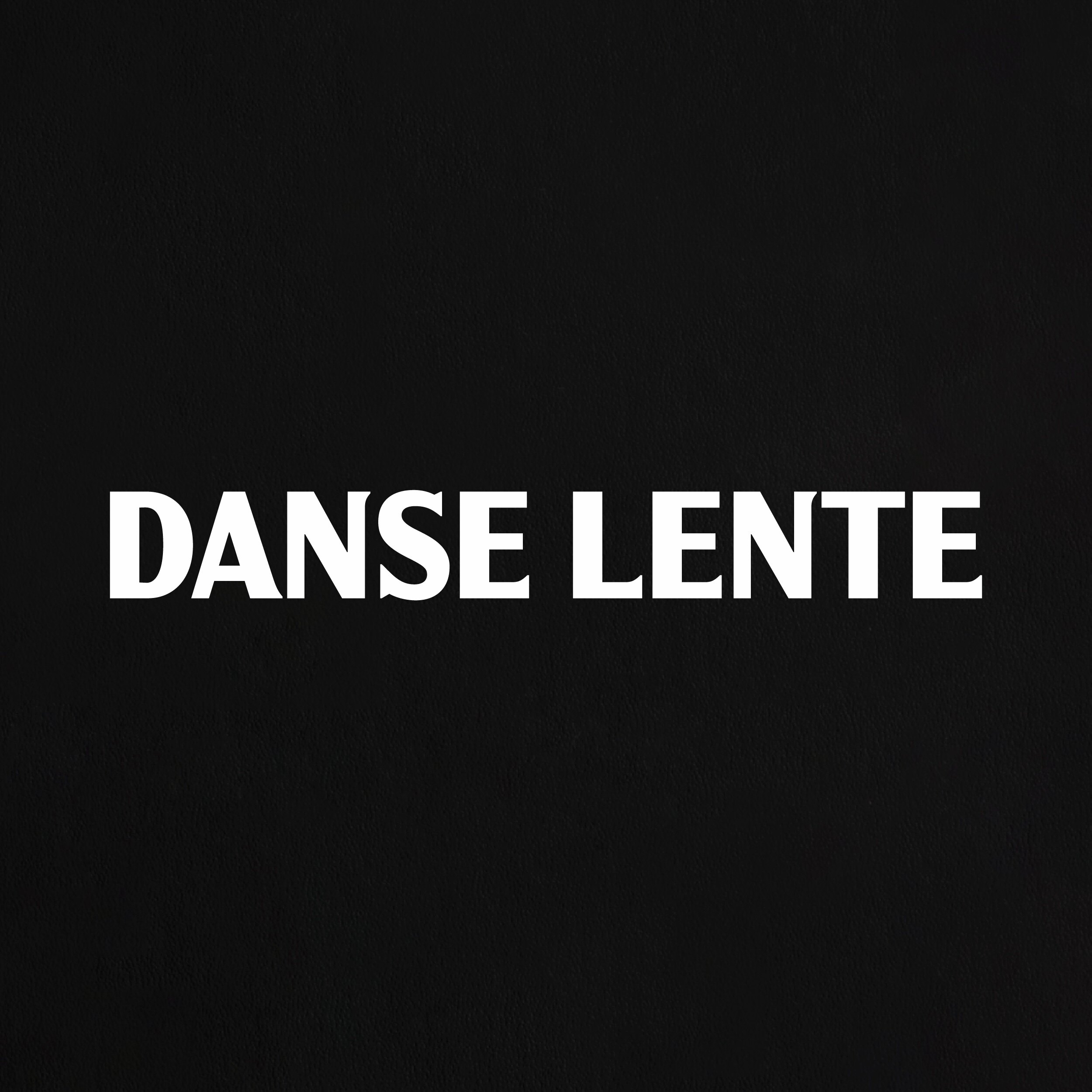 DANSE LENTE旗舰店的LOGO