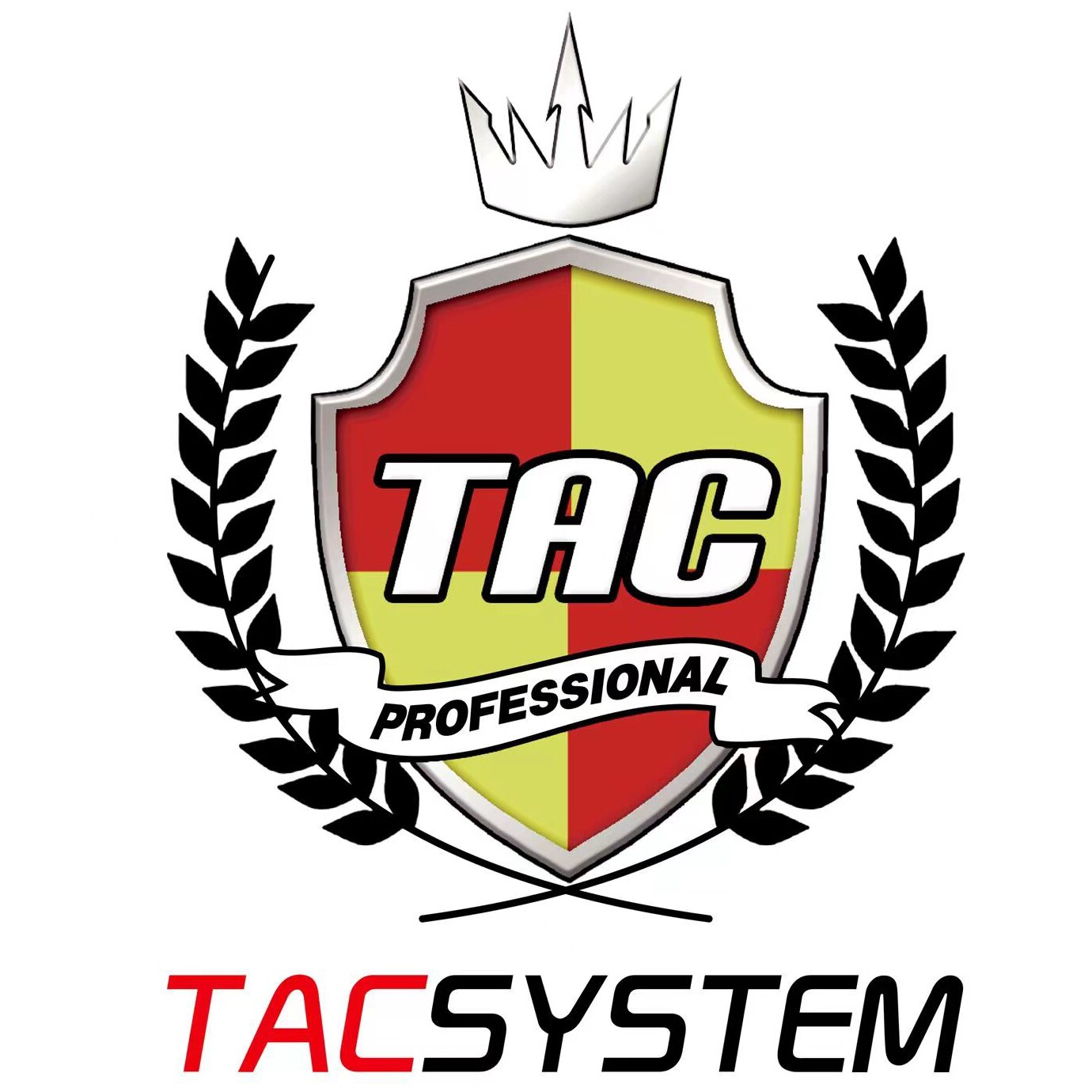 TACsystem汽车美容品牌店的LOGO