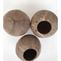 Natural coconut shell old coconut shell small opening rough surface kindergarten DIY succulent planting flower pot craft materials