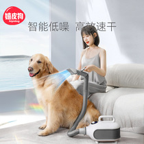 Pet hair dryer for medium and large dogs high-power hair dryer for dogs golden retrievers and cats hair drying box supplies