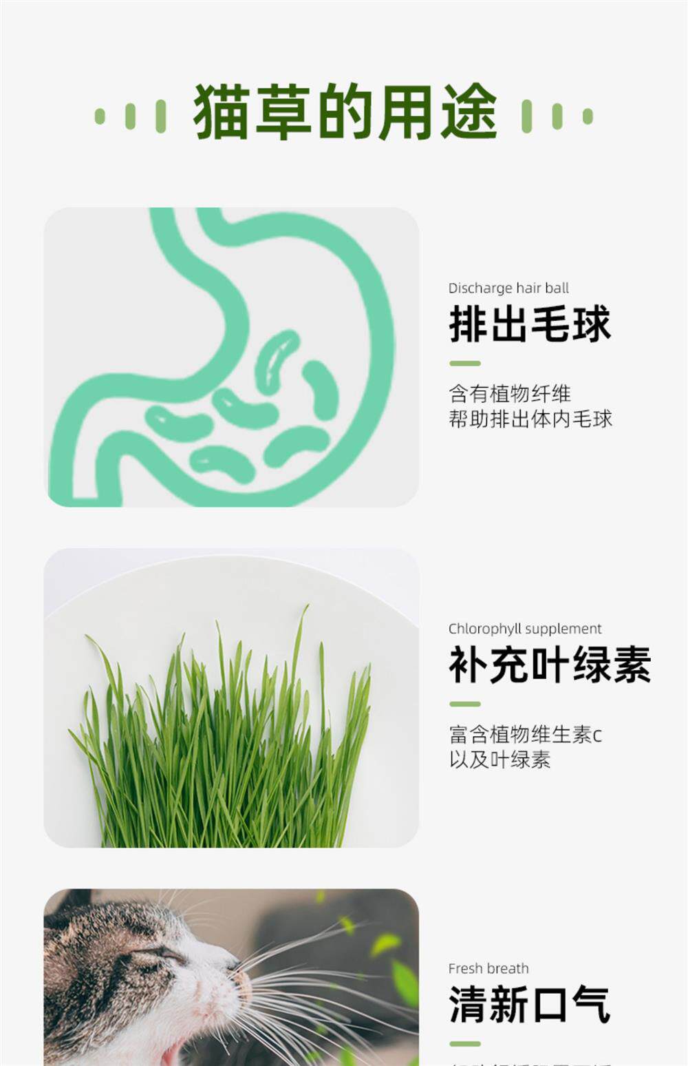 Кошки закуски 猫草盆栽种籽水培盒懒人种植有机猫草化毛球片小麦种子育苗盘零食 Pampas