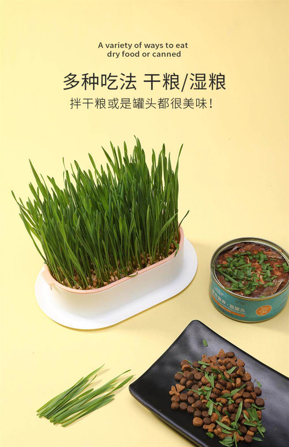 Кошки закуски 猫草盆栽种籽水培盒懒人种植有机猫草化毛球片小麦种子育苗盘零食 Pampas