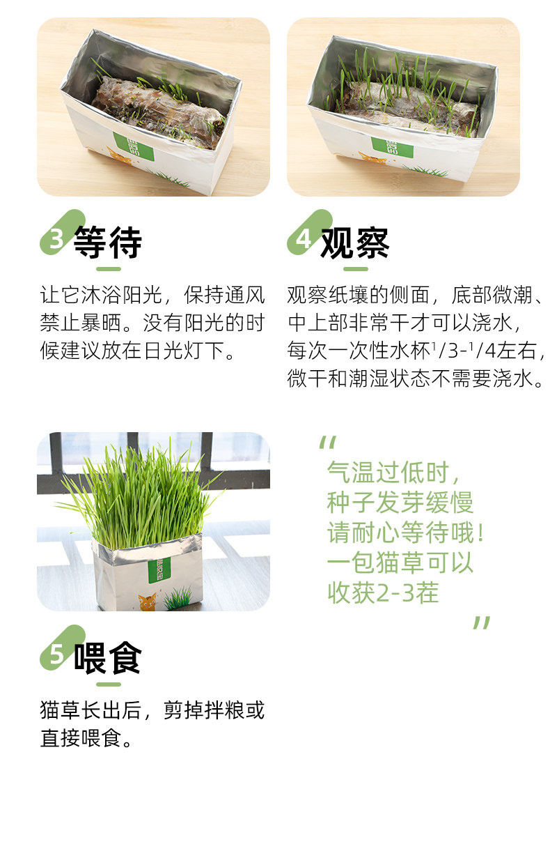 Кошки закуски 猫草盆栽种籽水培盒懒人种植有机猫草化毛球片小麦种子育苗盘零食 Pampas