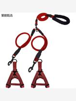 Double dog leash one for two dog walking rope double head for two small medium and large dogs pet teddy golden retriever chain