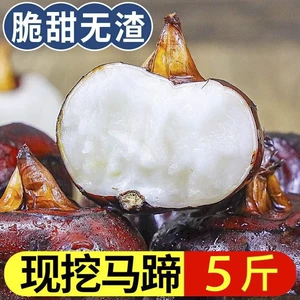 5 фунтов водяных каштанов Zhongda Guangxi Lipu, свежие, готовые к употреблению, свежевыкопанные, бесплатная доставка, сезонные фрукты, хрустящие, сладкие, сочные остатки