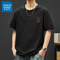 Небольшой стандартный виктоти черный