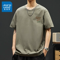 Небольшой стандартный серо -коричневый