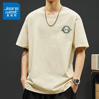 Маленький стандартный солнечный абрикосовый цвет