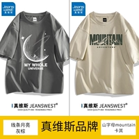 Line Moon Grey Brown + гора