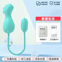 [Edition 2024 Upgrade] Маленькие динозавры+санитарные влажные города*2+смазка*2