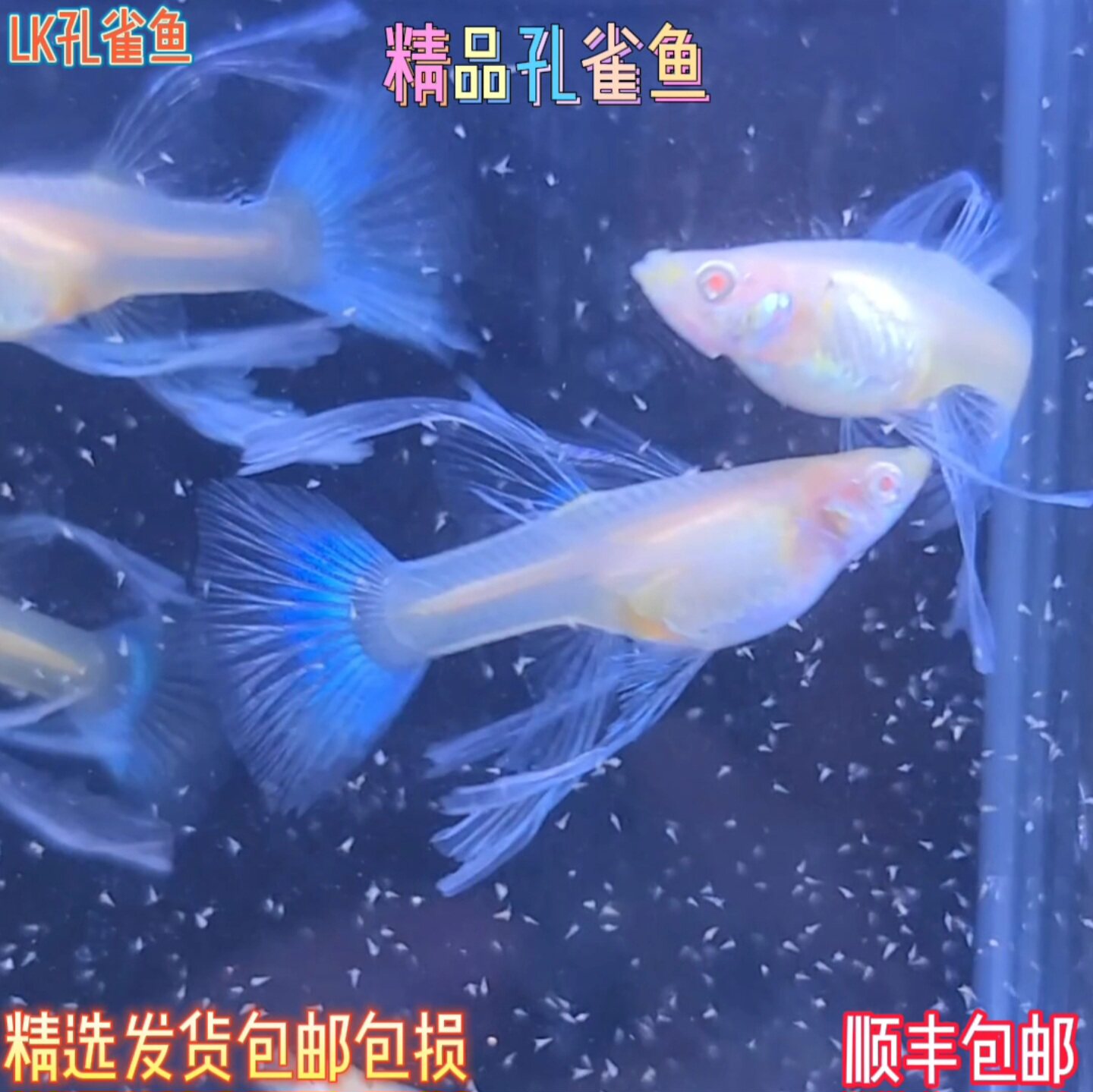 undefined-淘宝网