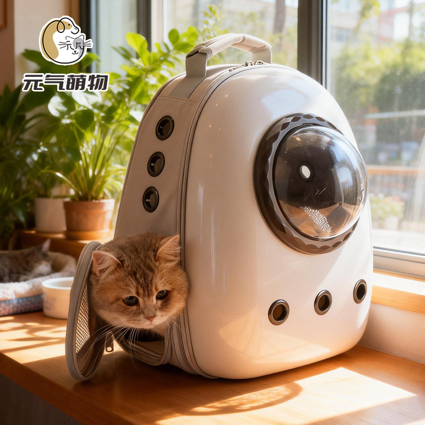 Vitality cute cat bag портативная прогулочная дышащая космическая капсула, рюкзак большой емкости, сумка для домашних животных, сумка для кошек, школьная сумка