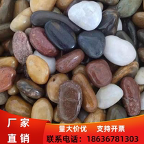 Gansu stream stone native natural pebbles landscaping fish tank bottom sand turtle terrace water tank filter stone