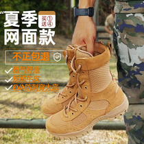 New brown combat boots straight zipper mens summer high-top mesh breathable waterproof lightweight outdoor training desert boots