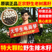 Pure wild natural moringa new effect Moringa seeds 1 kg India imported premium 500g