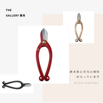 Japans original imported Sogetsu floral scissors Chifang scissors flower arrangement tools florists special scissors light luxury hand scissors