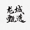 龙城甄选的LOGO