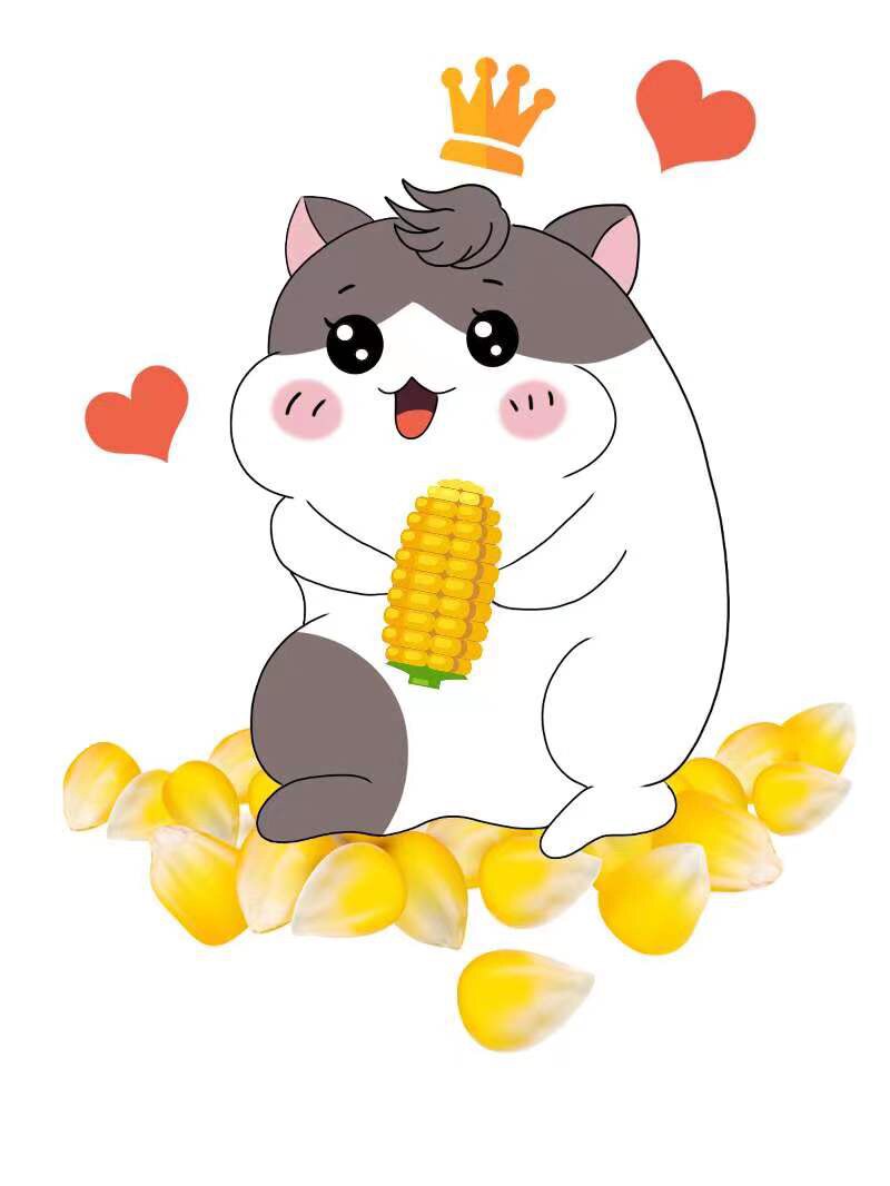 刚好遇见你