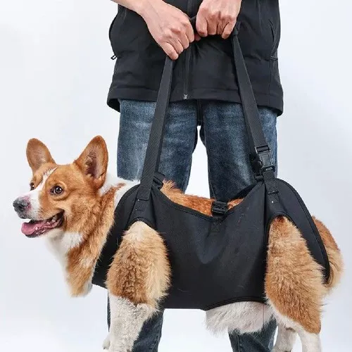 Регулируемая поддержка поддержки собак Регулируемая поддержка домашних животных