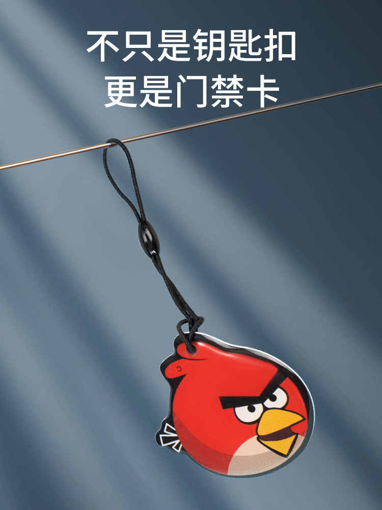 13.56Mhz Replicable Rewritable Ic Blank Card Cuid Epoxy Keychain Universal for Community Access Control and Elevator Encryption