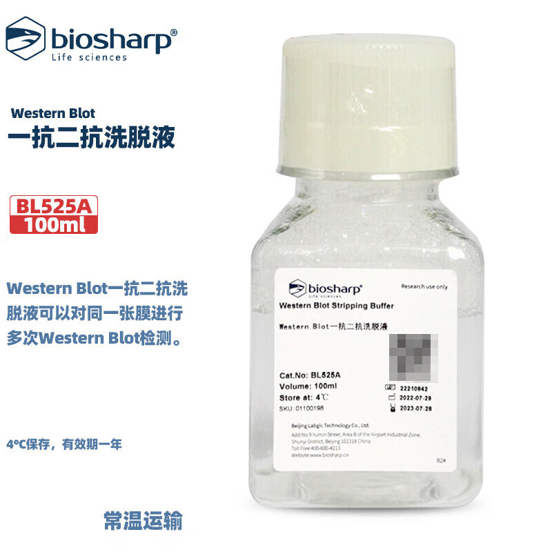 BIOSHARP LIFE SCIENCES 白鲨 BL525A Western Blot一抗二抗洗脱液 可以对同一张膜进行多次Western Blot检测