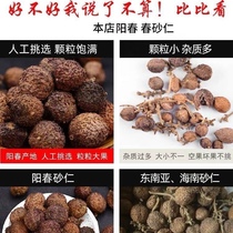 Guangdong Yangchun Amomum villosum spring amomum villosum spring amomum villosum dried fruit Yangchun specialty amomum villosum soup steamed meat used as medicine 500g