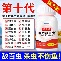 Trichlorfon fish medicine anchorhead ringworm koi double-killing medicine fish pond insecticide trichlorfon fish medicine for aquatic products