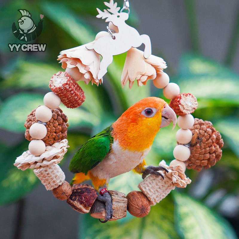 Parrot Team Christmas Ring Swing Parrot Chewing Toy Pine Cone Dried Fruit Pendant Peony Landscaping Supplies