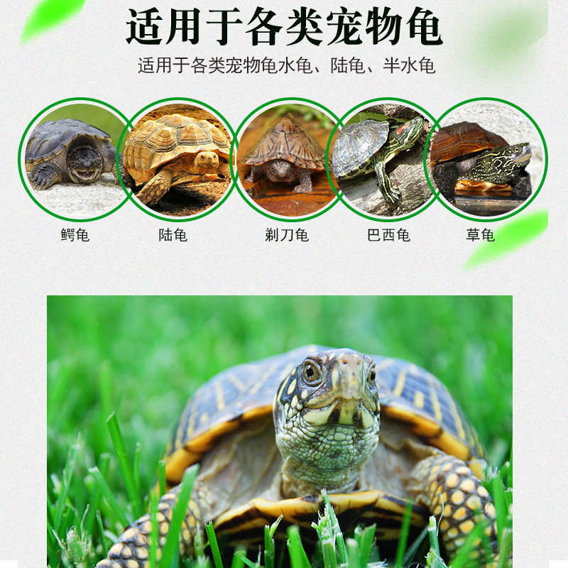 宠物龟养护秘籍：专治感冒肺炎、肠胃炎、腐皮烂甲的乌龟药！🌿-水族药品药剂-淘宝百科网